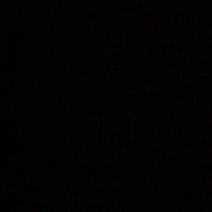 Meet your Posher, Bailey